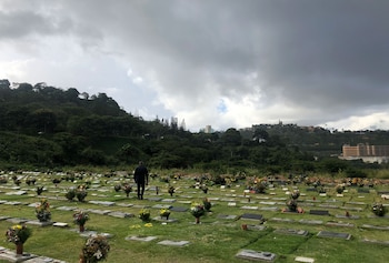 BUSCANDO JUSTICIA: Alexis, un abogado,