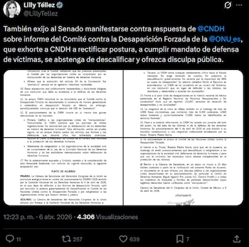 Captura de pantalla de la cuenta X de Lilly Téllez