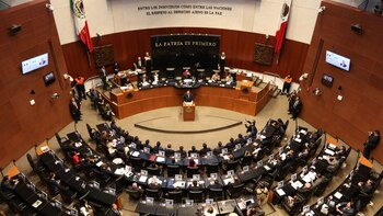 Los legisladores aprobaron una serie