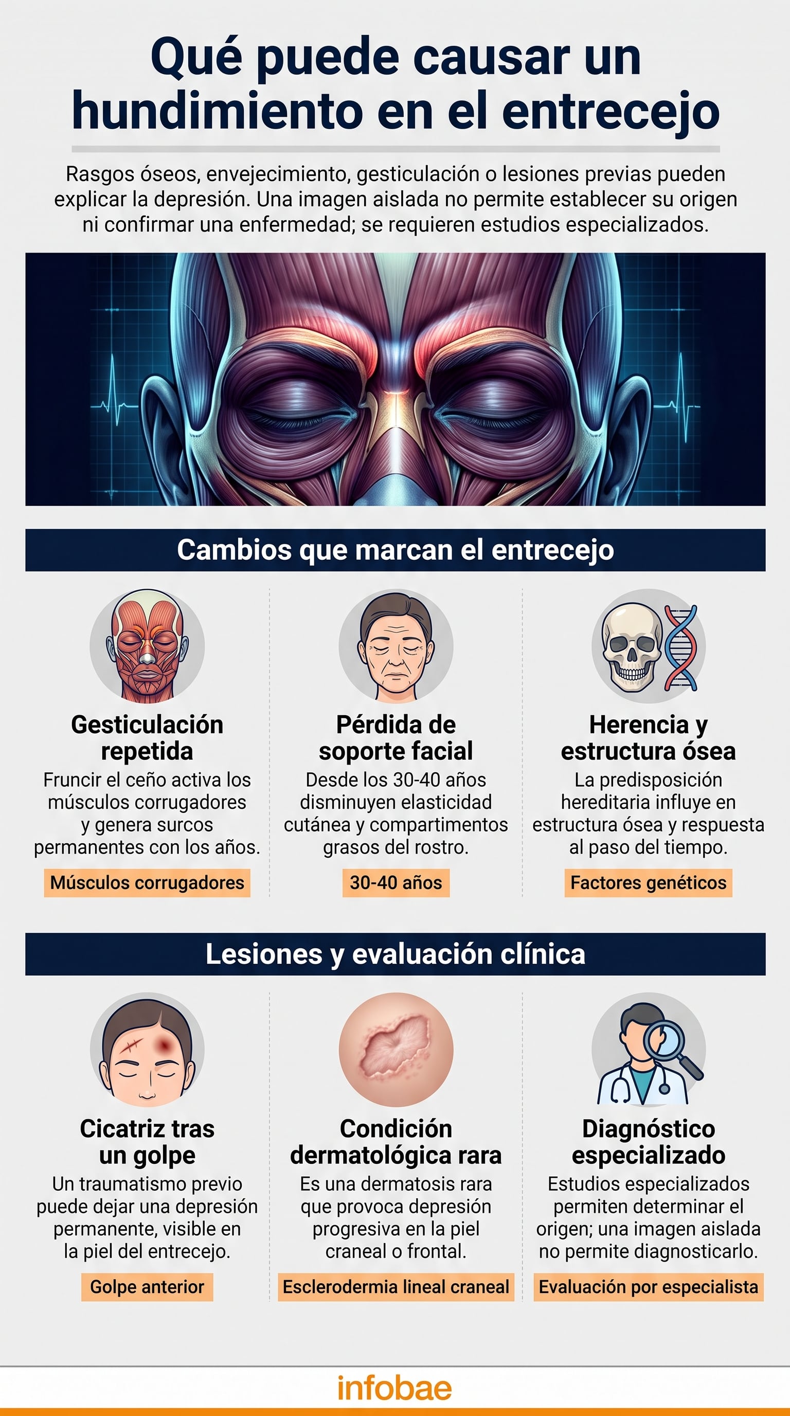 Una infografía de Infobae detalla los factores biológicos y traumatismos que pueden causar un hundimiento en el entrecejo. (Imagen Ilustrativa Infobae)