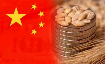 China reunirá este año una gran producción de trigo, lo que ha venido afectando los precios del cereal (Revista Chacra)