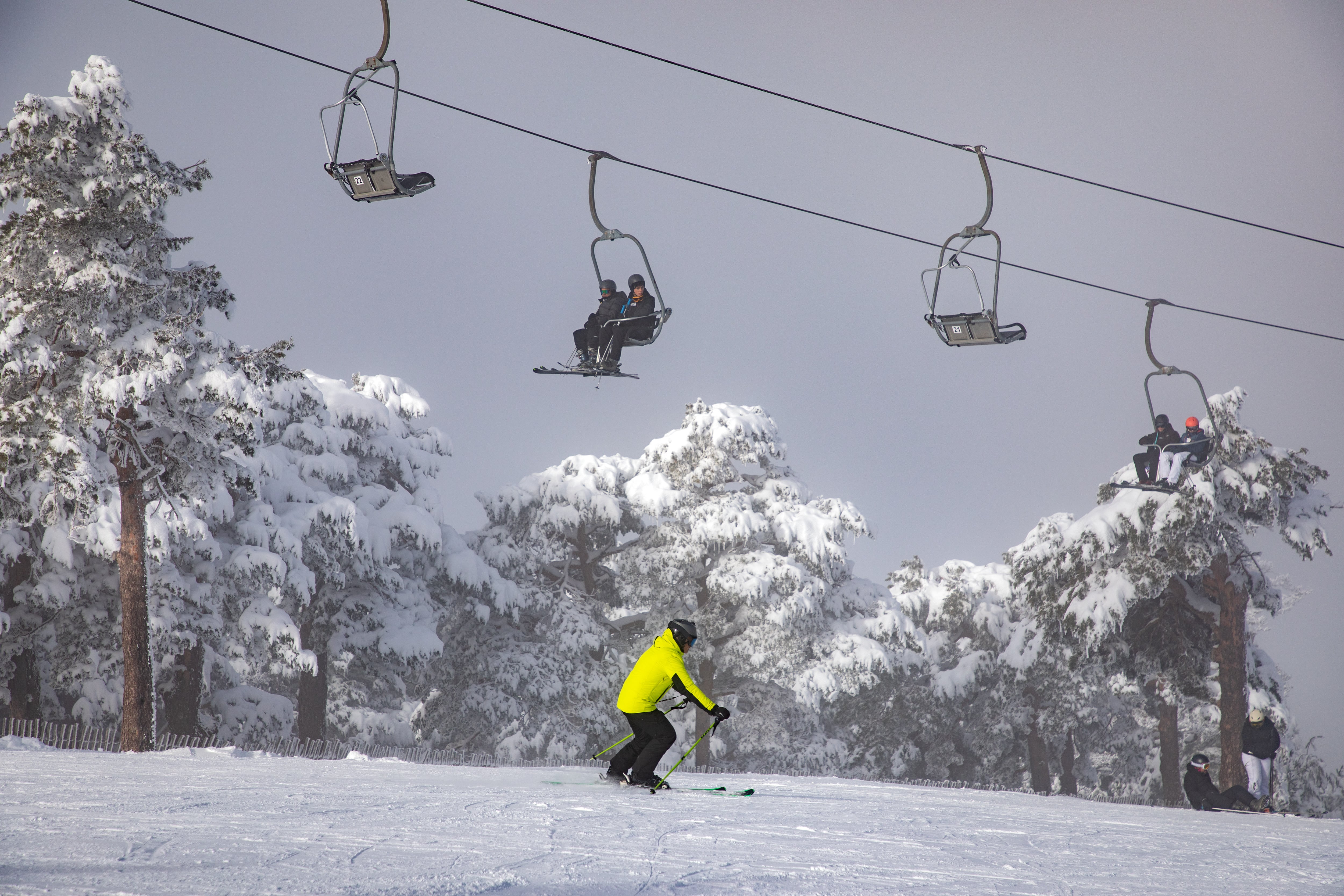 Personas practicando esquí durante la temporada de esquí en Navacerrada, a 20 de enero de 2026, en Segovia, Castilla y León (España). (Rafael Bastante/Europa Press)
