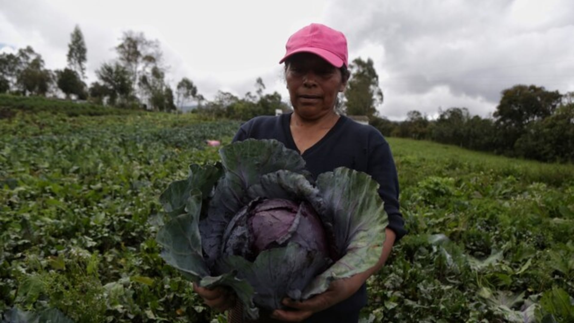 Gobierno De la Espriella levanta restricciones al suelo rural en Cundinamarca