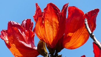 Un equipo de científicos de