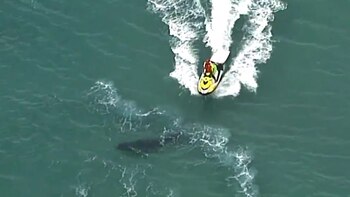 La cifra más alta de