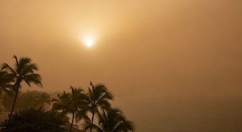 Cielo anaranjado cubierto de calima, un sol brillante en el centro superior, palmeras en primer plano a la izquierda y un mar ondulado a la derecha.