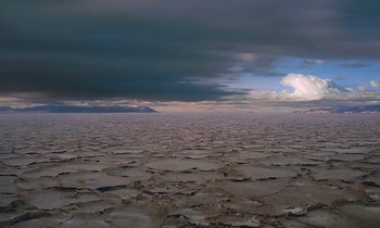 Aunque su nombre y su