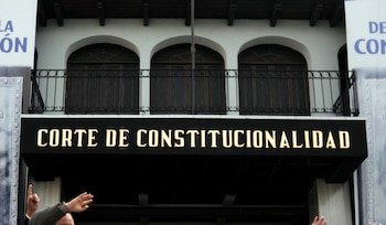 REDSAG presentó un amparo ante la Corte de Constitucionalidad para frenar el acuerdo 53-2026 que promueve la importación de semillas transgénicas en Guatemala. EFE/Archivo