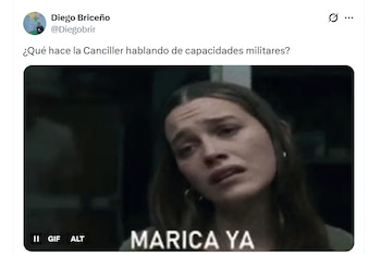 Las declaraciones de la canciller