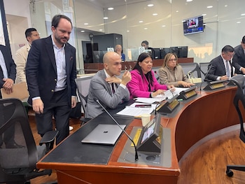 El proyecto de Manejo Integral del Fuego llega por tercera vez al Congreso y deberá superar nuevos debates - crédito @ComiQuintaCam/X
