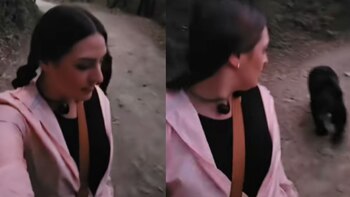 Un pequeño oso negro siguió