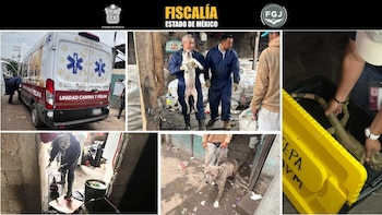 Rescatan a cuatro niños que eran explotados en una recicladora de Tultitlán, dos de ellos con reporte de desaparición activo. FGJEM
