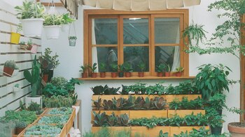 Qué cosas que debe de