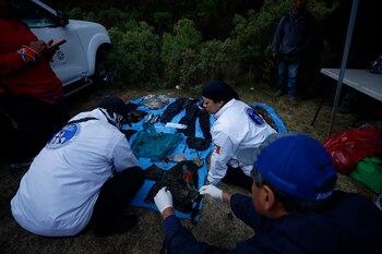 Voluntarios superaron en número a