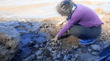 Aún resta determinar de qué