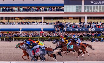 El Florida Derby es una