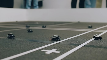 El desarrollo responde a la