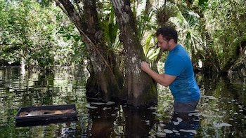 En lo profundo de los