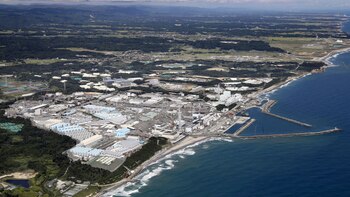 El OIEA indicó que la