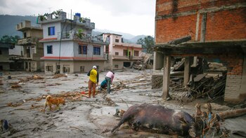 China eleva a 16 la cifra de ciudadanos fallecidos tras las devastadoras inundaciones en Nepal