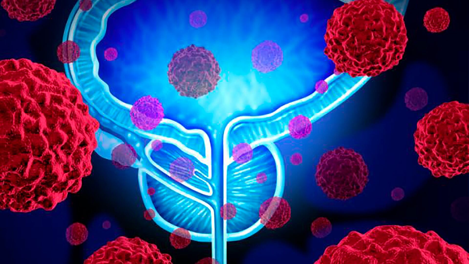 La terapia focal guiada por ecografía en tiempo real facilita intervenir solo el área comprometedora del tumor, lo que reduce riesgos y agiliza la recuperación del paciente (Freepik)