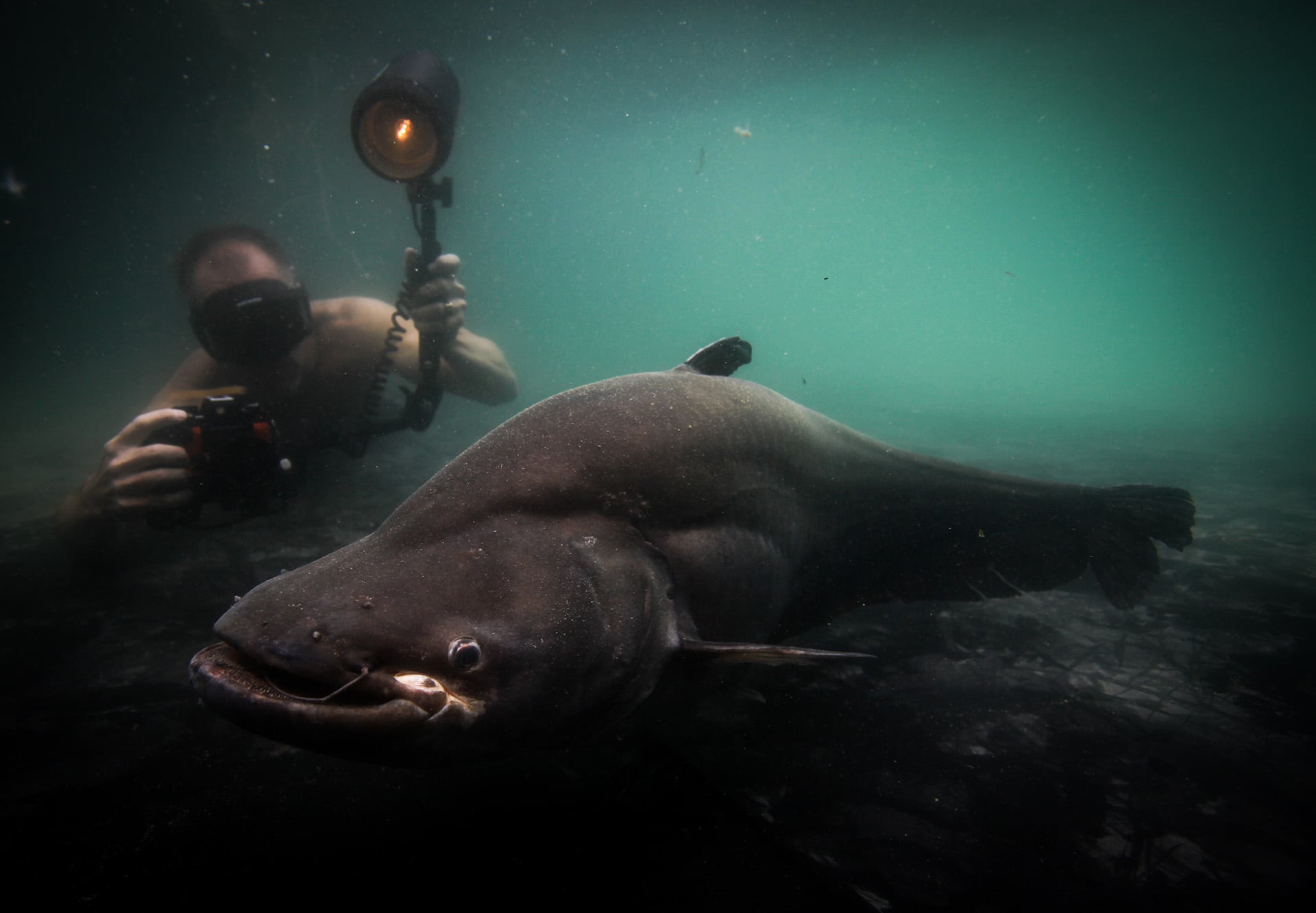 Solo 24 de las 349 especies de peces migratorios de agua dulce están protegidas internacionalmente, mientras que 325 carecen de resguardo efectivo/Zeb Hogan