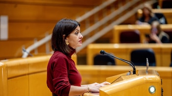 Rego tras limitar Grok su