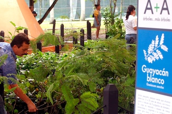 En concreto, se abogó por retomar el compromiso de trabajar de manera conjunta y sistemática en programas de reforestación en la zona fronteriza, así como desarrollar mecanismos que garanticen la conservación de las áreas protegidas transfronterizas, y la lucha contra el tráfico ilícito de especies de flora y fauna. EFE/Thais Llorca/Archivo