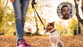 Marcos, estudiante de veterinaria, para