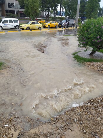 Las imágenes fueron compartidas por