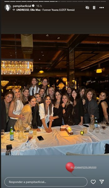 Pampita Ardohain fue al cumpleaños