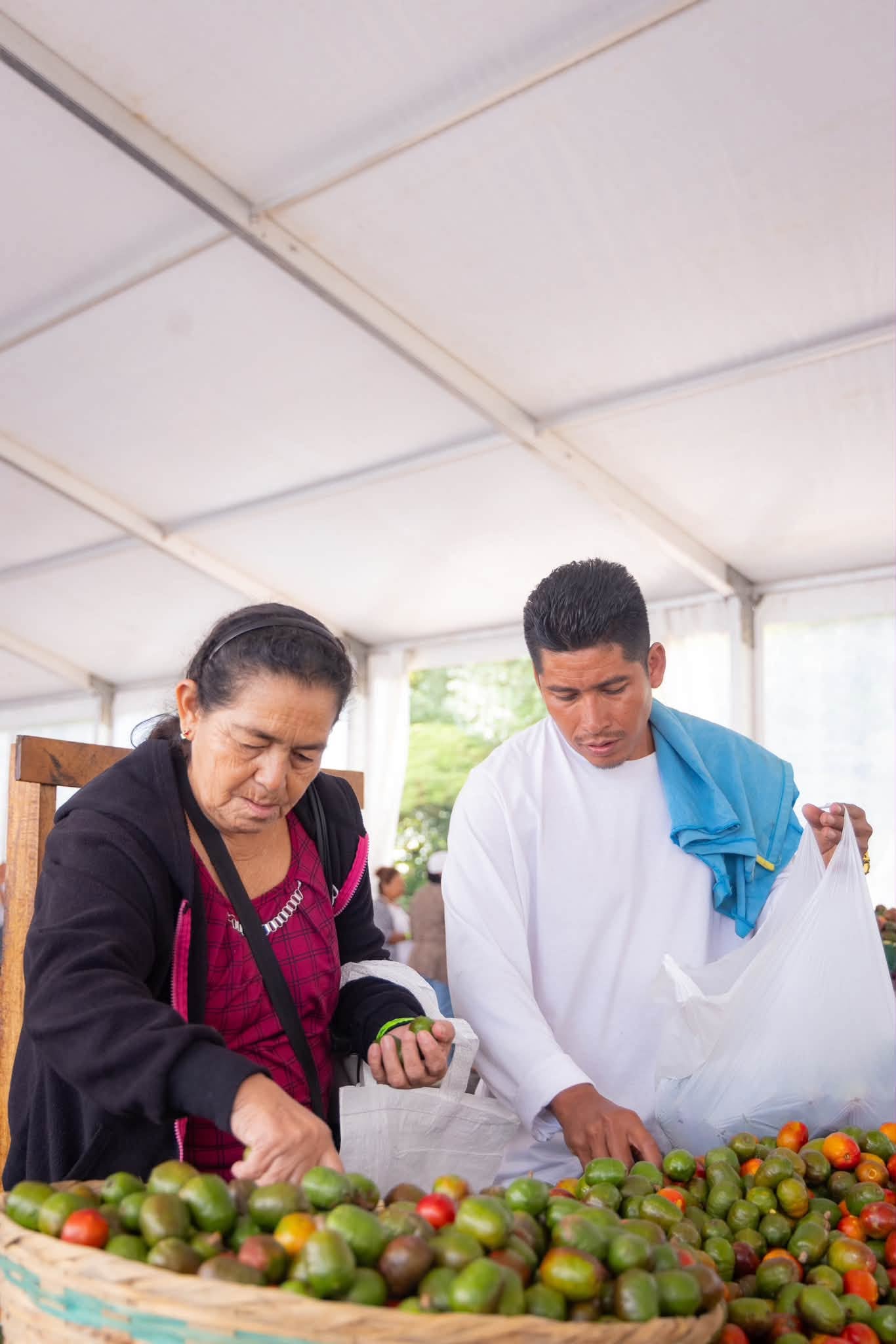La actividad se desarrolló el sábado 10 y domingo 11 de octubre en Santa Ana, donde el público degustó la fruta fresca y diversas preparaciones elaboradas por emprendedores de la zona (Foto cortesía ISTU)