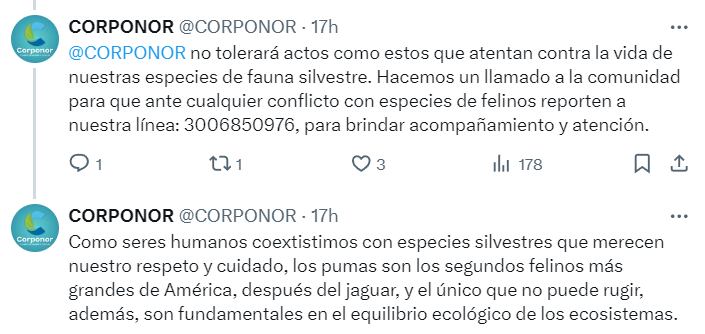 Informe de Corponor sobre muerte del puma. Se investigará el hecho - crédito @CORPONOR/X