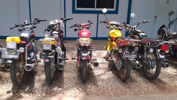 Tras un exitoso operativo nocturno, la Policía Nacional desarticuló la banda dedicada al robo de motocicletas en Santiago de los Caballeros./ (Redes Diego Pesqueira)