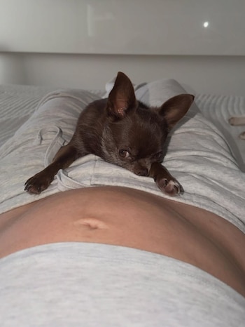 La famosa compartió momentos con sus mascotas que también se están acoplando a su pancita - crédito Lina Tejeiro / Instagram