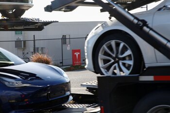 Luego del apoyo de Musk,