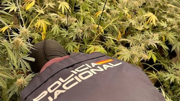 Detenidas cinco personas en cuatro