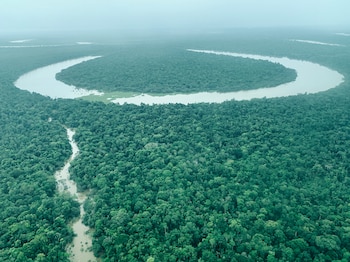 Natura lanza su IP&L