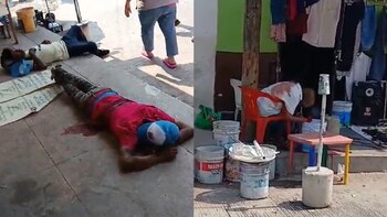 Foto: Captura de pantalla