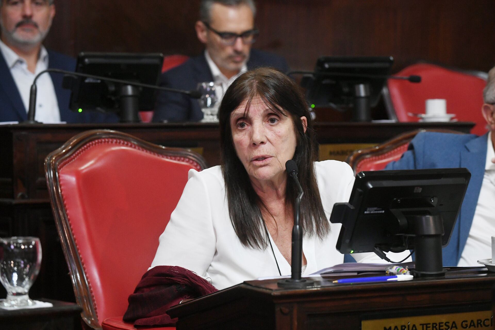 La presidenta del bloque de Unión por la Patria en el Senado bonaerense, Teresa García