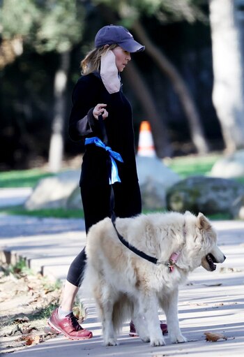 Celebrities-en-un-clic-Renee-Zellweger-13102020