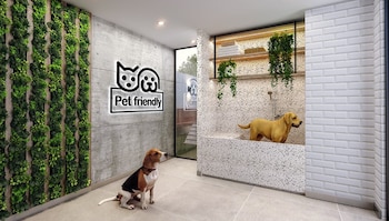 espacio pet-friendly en edificio