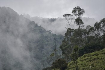 Colombia tiene el 44% de