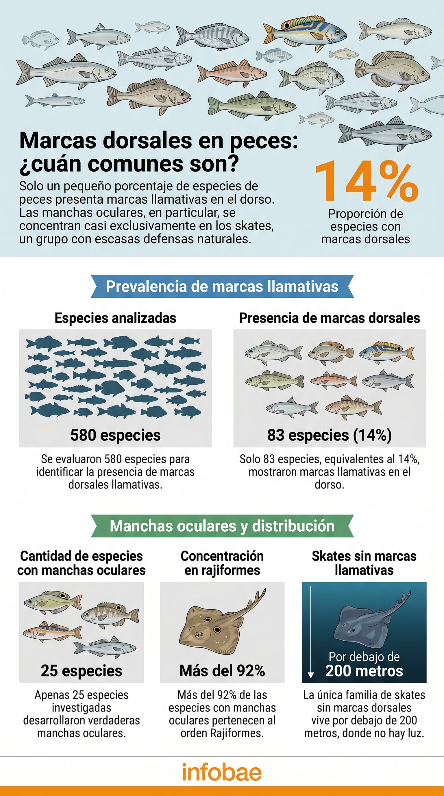 (Imagen Ilustrativa Infobae)