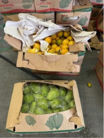 Cajas que transportaban ciruelas pasas