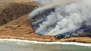 Incendios forestales en Estados Unidos: el comienzo más severo de los últimos años preocupa a expertos
