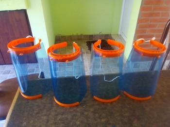 En la Escuela de Lincoln