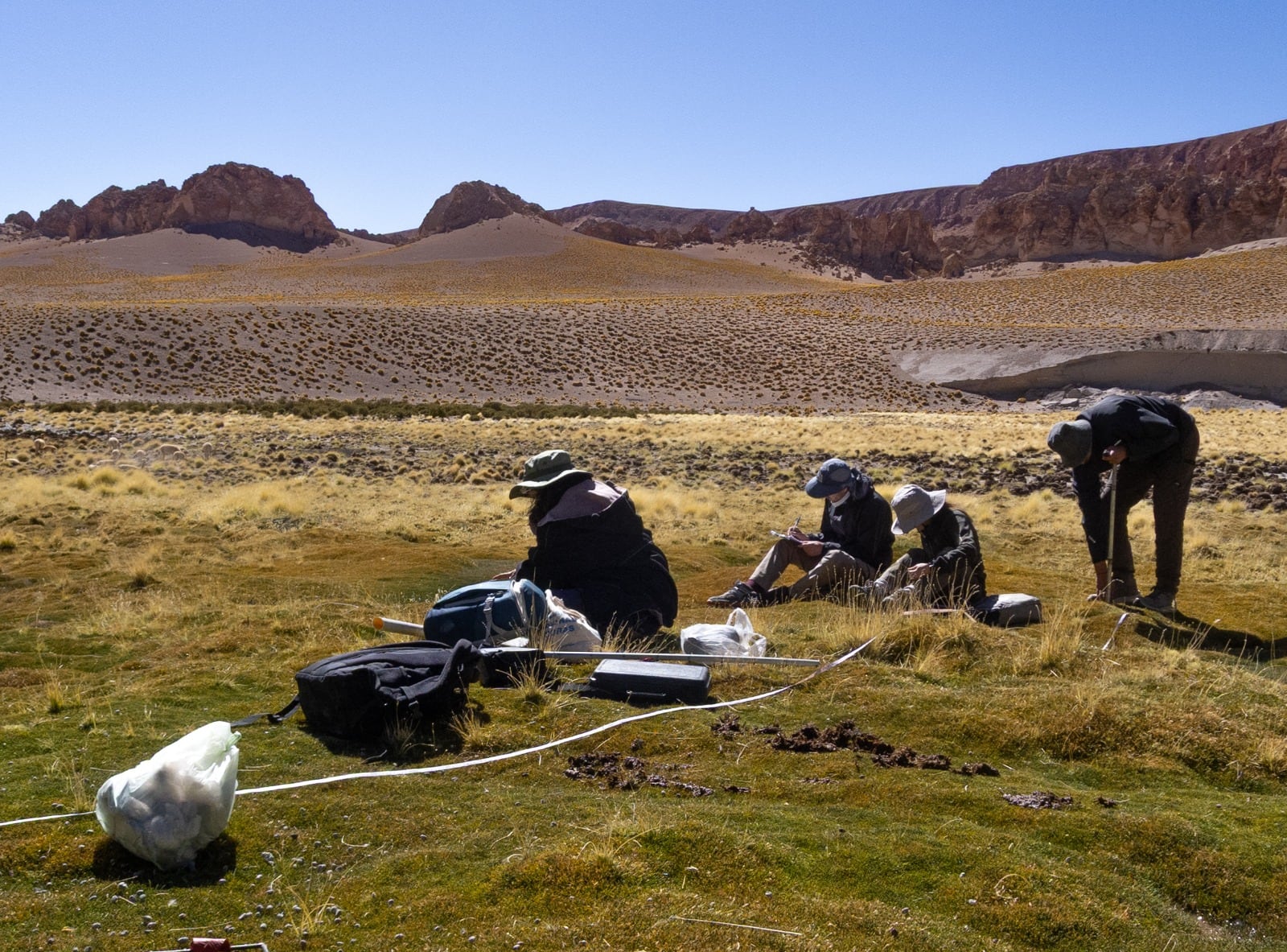 Según el estudio, la disponibilidad de agua, la pérdida de prácticas culturales y los cambios en la biodiversidad local no están contemplados en los marcos globales de desarrollo sostenible