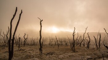 En 2019, hubieron pocos avances