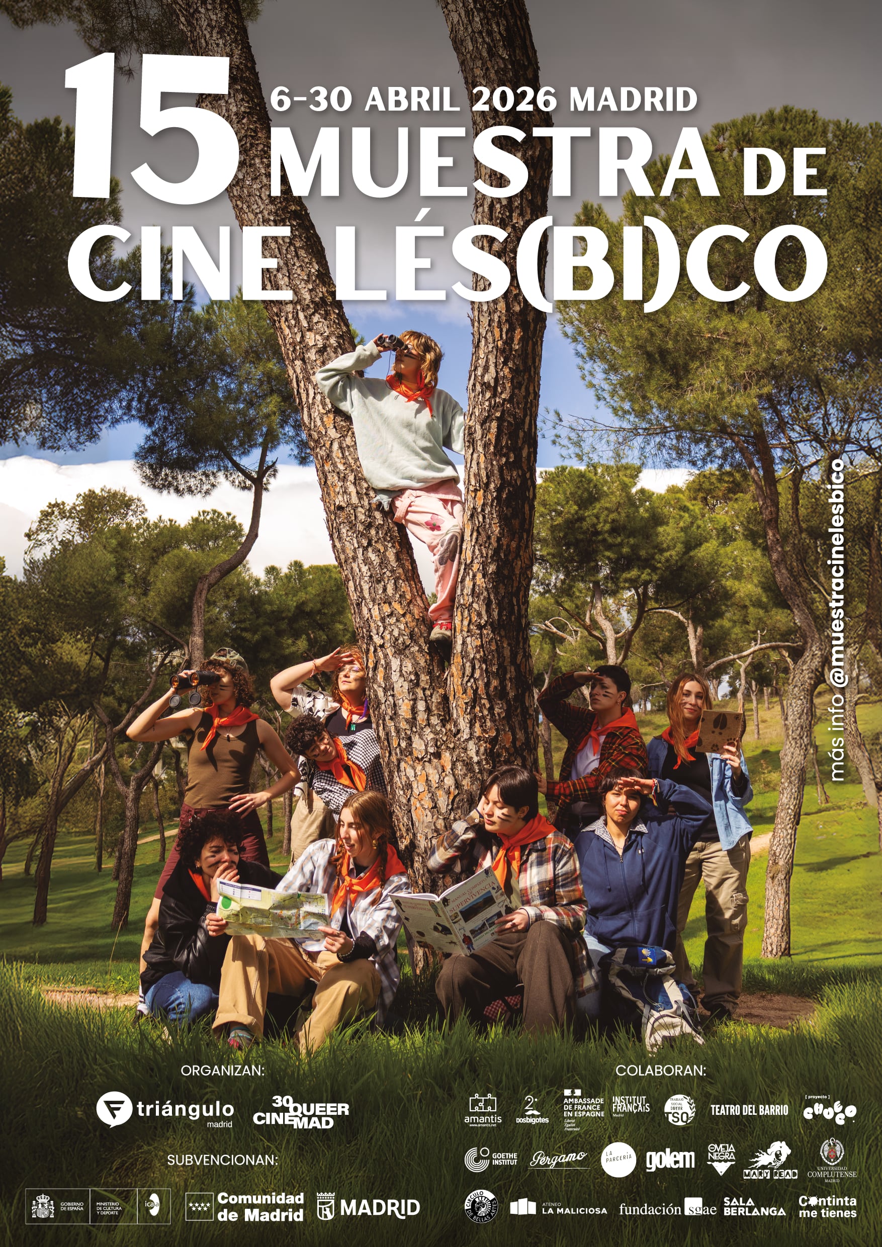 Cartel de la 15ª Muestra de Cine Lésbico de Madrid.